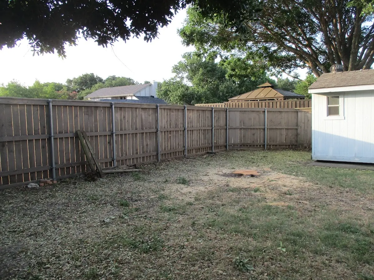 Cleared yard after professional tree removal in Barron